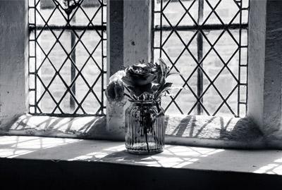 Web de fotografía